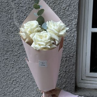 White French Roses