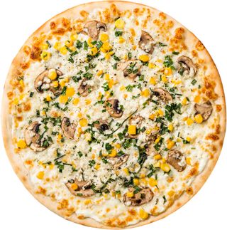 27 Forest gump (40 cm)