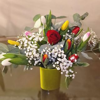 Rosa rossa e tulipani