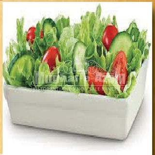 Green salad