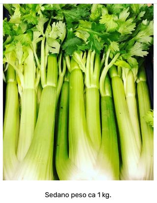 Sedano Italia - 1 pezzo 1 kg ca.