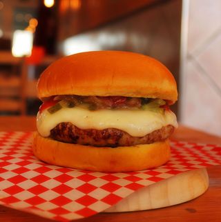 Hamburguesa Coyote Emplumado sola