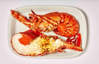 Lagosta Cozida