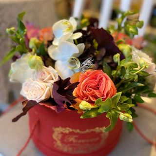 Cutie cu mixt de flori și cupe de phaleonopsis