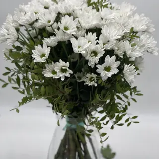 MARGARIDA