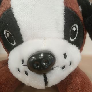 Perrito marrón y negro