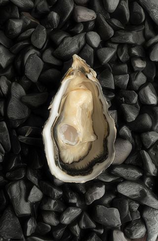 Ostras Speciale Normandia N1 (12 Uds.)