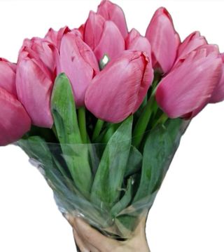 ვარდისფერი ტიტების თაიგული