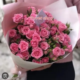 სპრეი ვარდები 