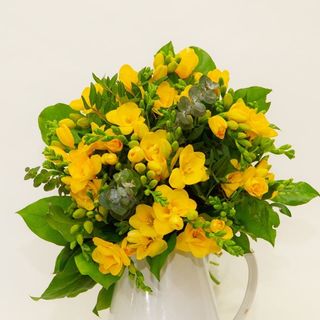 Buchet cadou cu 25 frezii galbene