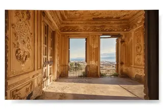 Nobili Ocelle: Stampa su carta Carlo Arancio Carlo Ara 40×60 cm