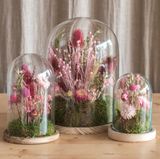 Fanal Flores Preservadas Rosas Pequeño