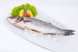 Sea bass