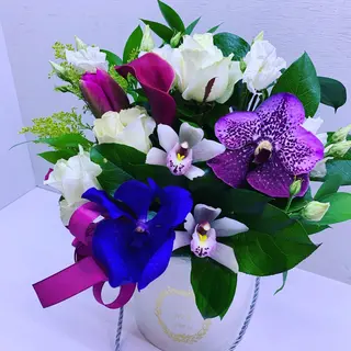Cutie mix 3