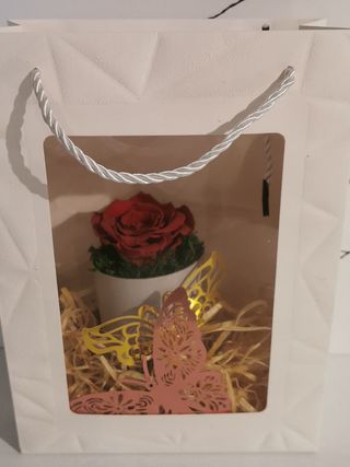  Róża stablizowana cena