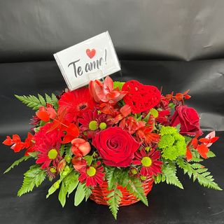 Centro San Valentín 