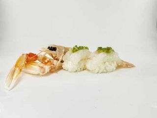 254 Nigiri scampi