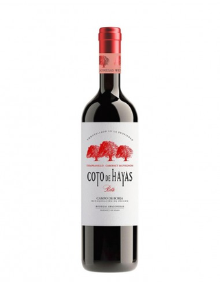 Vino Tinto Coto De Hayas