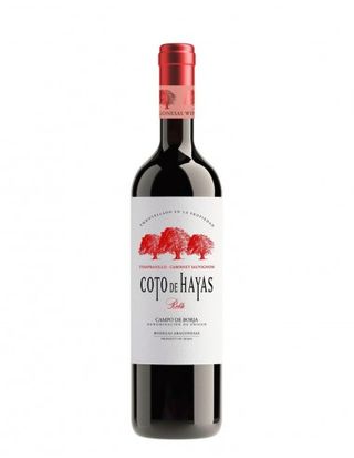 Vino Tinto Coto De Hayas