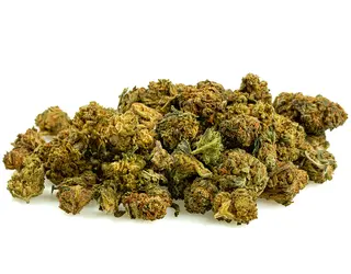Fruity Mini Buds - 8% CBD - Greenhouse, 5gr