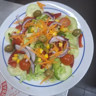 PRATO SALADA VEGETARINHO MENU