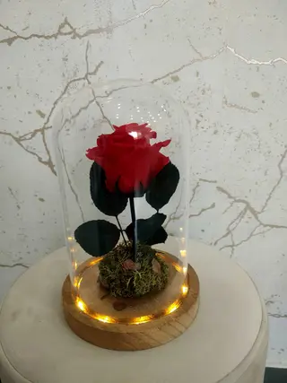 Campânula com Rosa Preservada