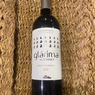 GLARIMA TINTO