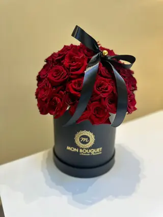 box  bombe 20 cm