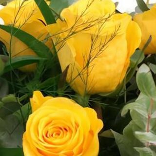 Tres Rosas amarillas en jarrón 