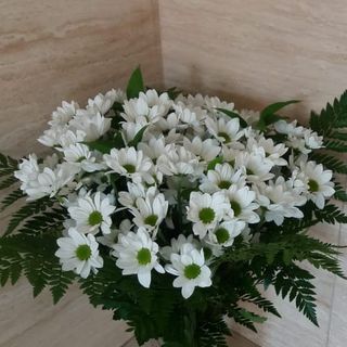 Ramo De Margaritas Blancas