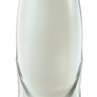 Tónica (330 Ml.)