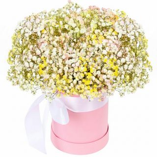 Композиція"Ранкова зірка"