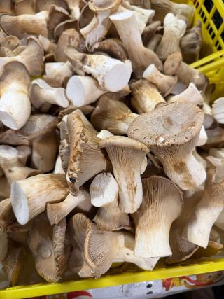 Cardoncelli 250 g