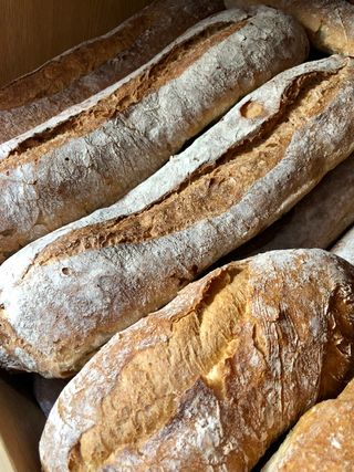 Chapata Pequeña (Aprox. 225 G.)