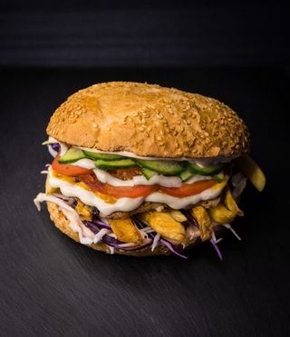 Hamburger Grill Bird