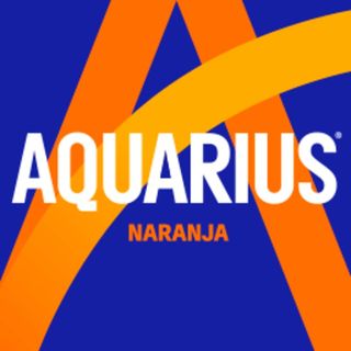 AQUARIUS DE NARANJA 33CL