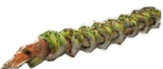 U8 Drago roll - 8 pezzi