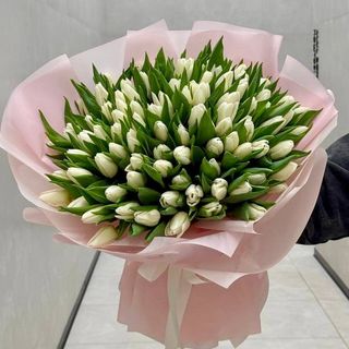 101 білий тюльпан 