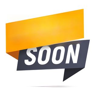 Porchetta e focaccia