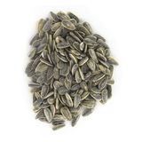 Pipas Pequeñas Con Sal