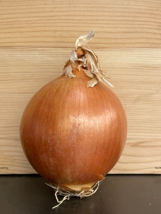 Cipolle dorate al kg