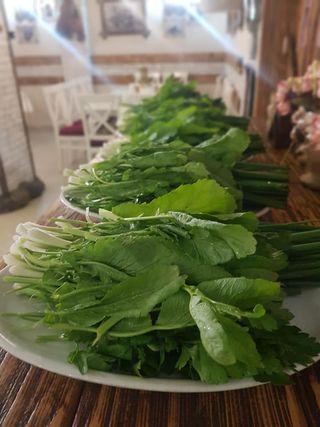 ბოსტნეული, მწვანილი