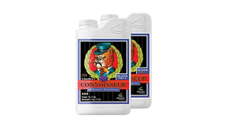 PH Perfect Connoisseur Bloom Part A&B 1 ლ