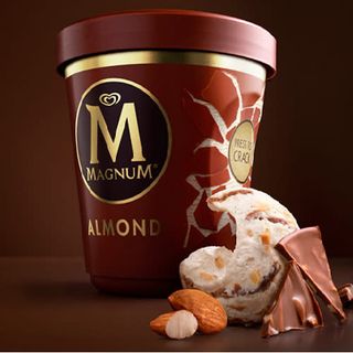 Tarrina Magnum (440 ml.)