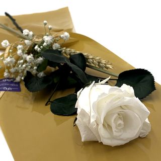 Rosa Blanca Preservada