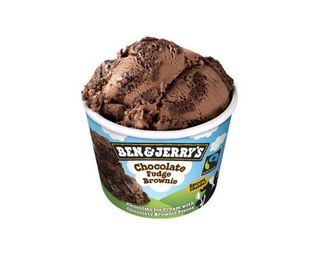 Ben And Jerry Chocolate Fudge Brownie Non Dairy Vegan Mini 