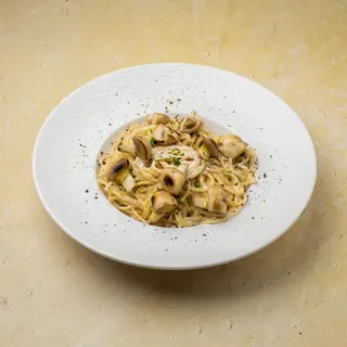 Funghi