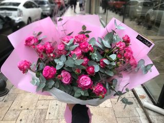 ჟოლოსფერი სპრეი (5 ცალი) S ზომა