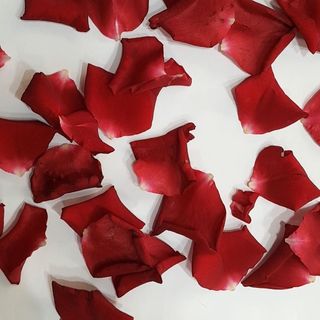 10 roses pétales rouges 