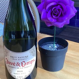 JUVÉ & CAMPS RESERVA DE LA FAMILIA